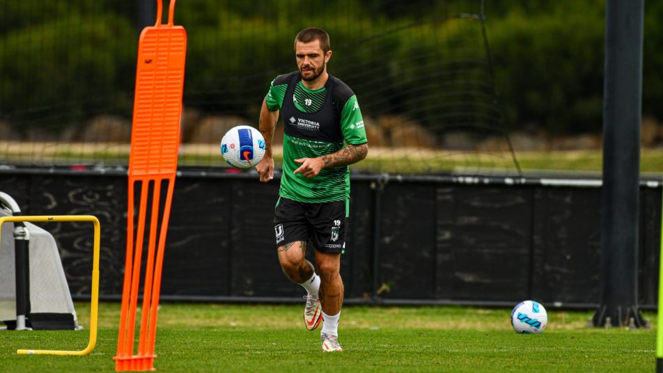 Josh Risdon Western United